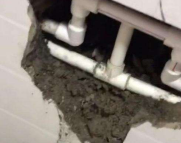 双湖卫生间漏水哪家好