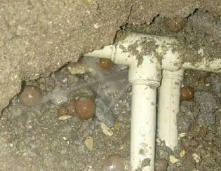双湖卫生间测漏