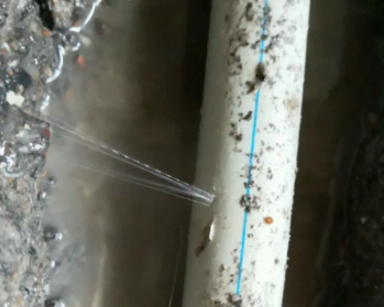 双湖卫生间测漏水多少钱