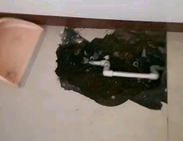 双湖卫生间测漏水多少钱