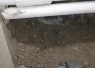 双湖卫生间测漏水多少钱